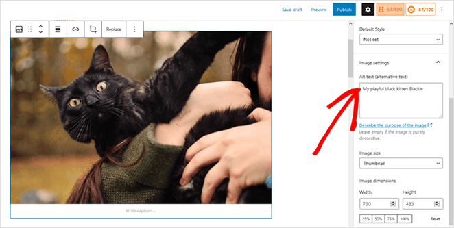 add your alt text in the WordPress block editor