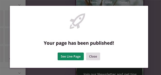Click the See Live Page button to see a preview of your landing page