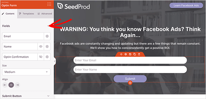 seedprod-optin-form-block - SeedProd Optin form landing page block