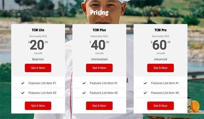 SeedProd multi-column pricing tables for landing pages