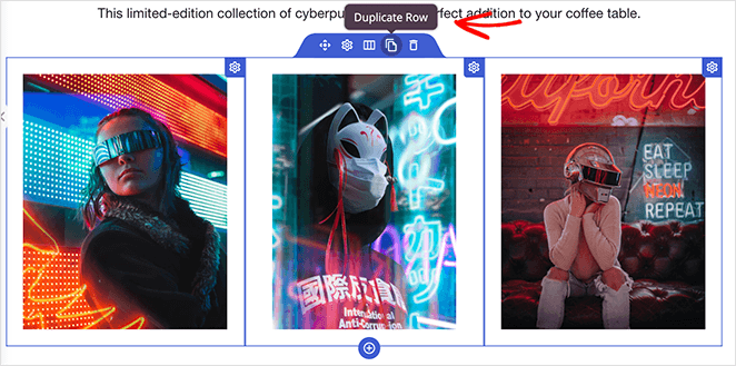 Duplicate a row in SeedProd