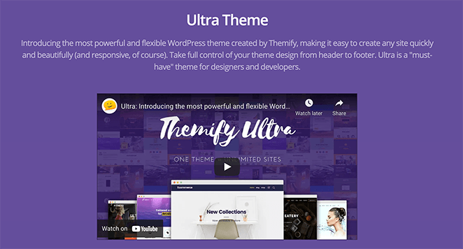 pre-built WordPress theme