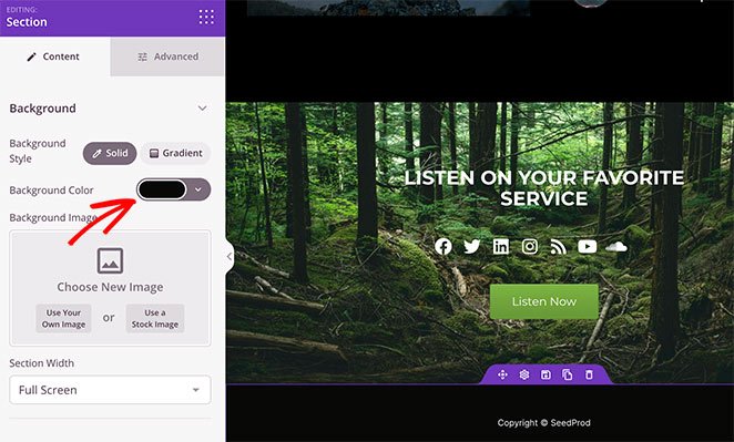 custom podcast landing page footer