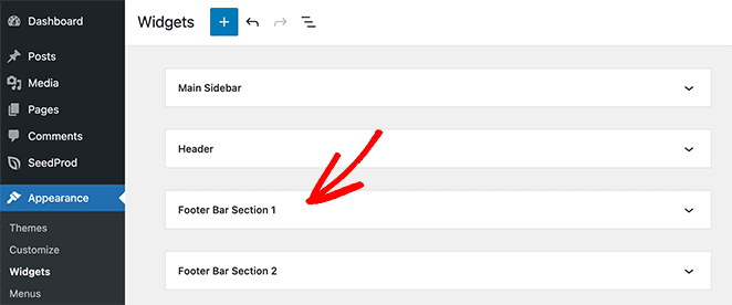 Locate your theme's footer widget areas