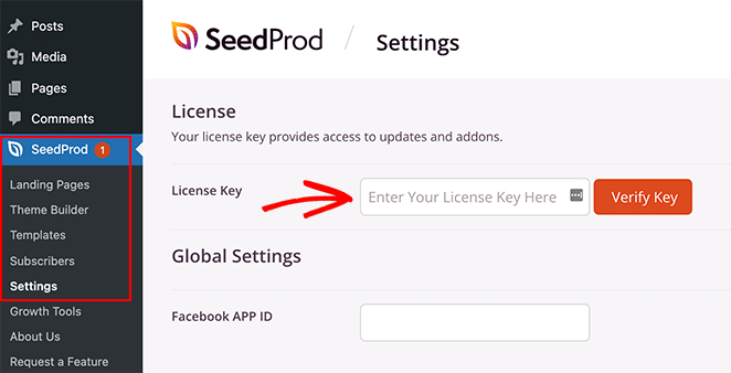 enter your SeedProd license key