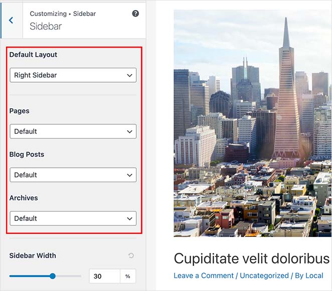 Customizer sidebar layout settings