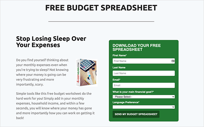 spreadsheet lead magnet examples