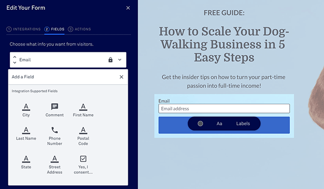 leadpages form widget settings