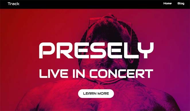 SeedProd live music mobile friendly WordPress theme example