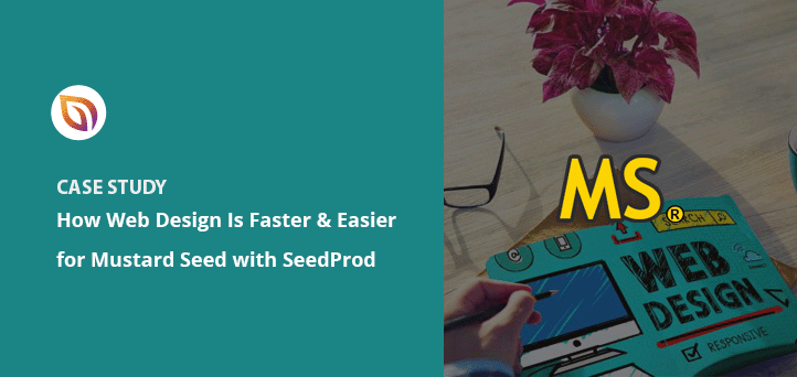 How Web Development is Fast, Easy, and More Productive with SeedProd