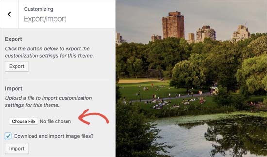 import WordPress customizer settings