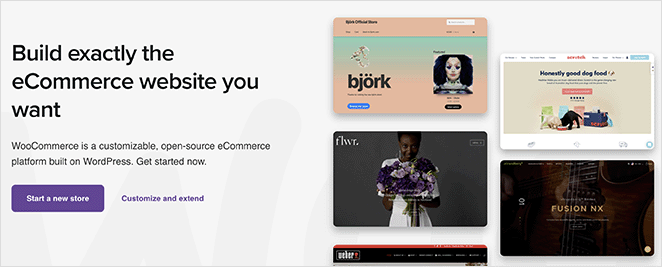 woocommerce-ecommerce-plugin - SeedProd WooCommerce stripe payments plugin WordPress