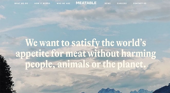 Page d'atterrissage d'une startup Meatable