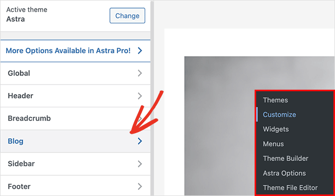 Astra WordPress theme customizer blog settings
