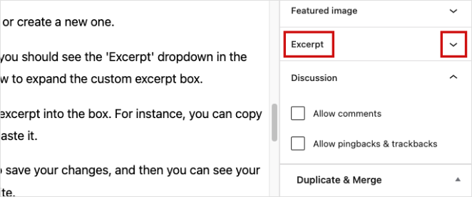 WordPress post excerpt panel