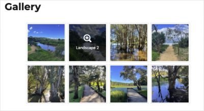 6+ Best Photo Gallery WordPress Plugins (Expert Pick) 2026
