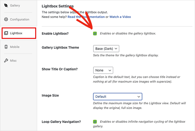 Envira Gallery lightbox settings