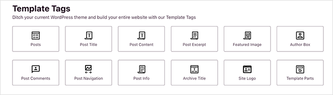 SeedProd template tags