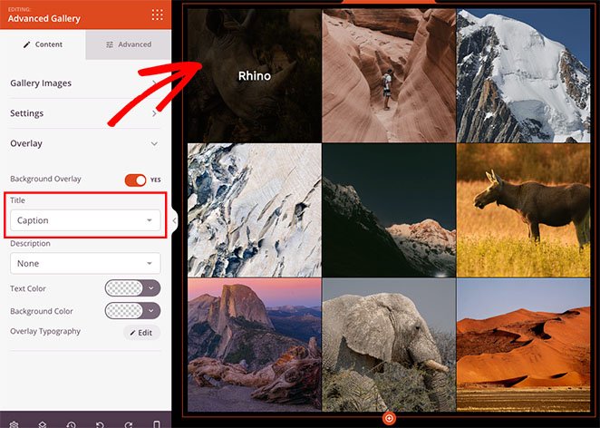 enable-background-overlay - SeedProd Enable background overlay