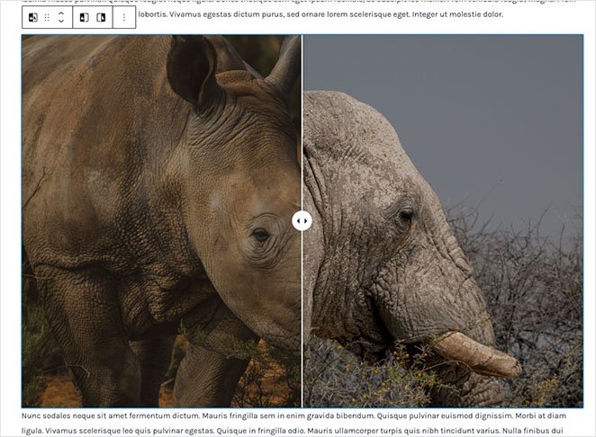 image-comparison-block - SeedProd Image Comparison Block WordPress