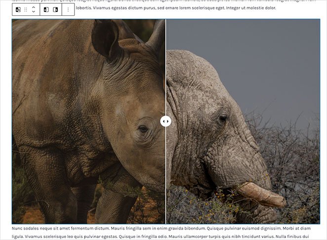 Image Comparison Block WordPress