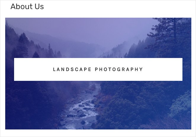 How to add text on an image with WordPress cover block
