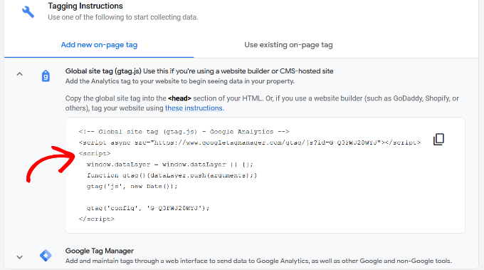 tagginginstructionsdetails1 SeedProd How to Set Up Google Analytics code in WordPress