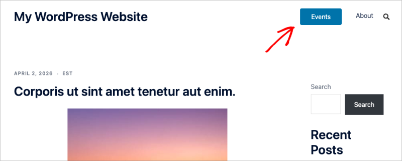Custom CSS menu button on live WordPress website.