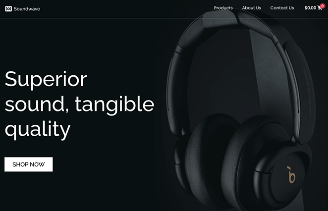 one-product-website-homepage - SeedProd Example of how to make one product website homepage