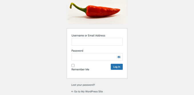 Custom login page logo example