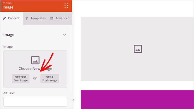 upload-custom-image - SeedProd Upload custom images to your landing page to test idea