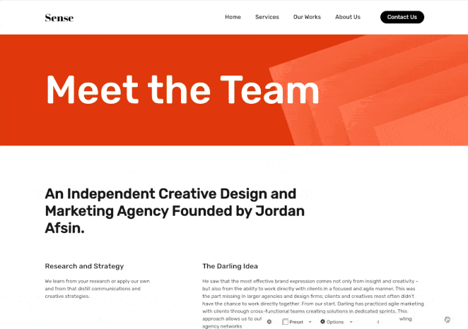 Final WordPress meet the team page example