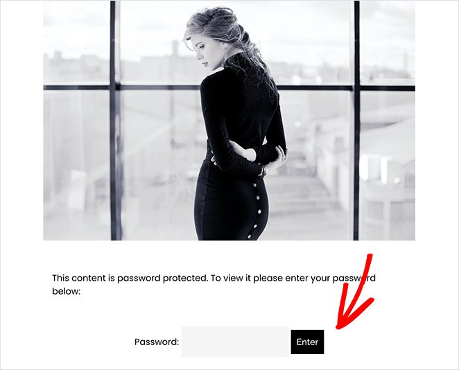 password-protected-post - SeedProd password protected post