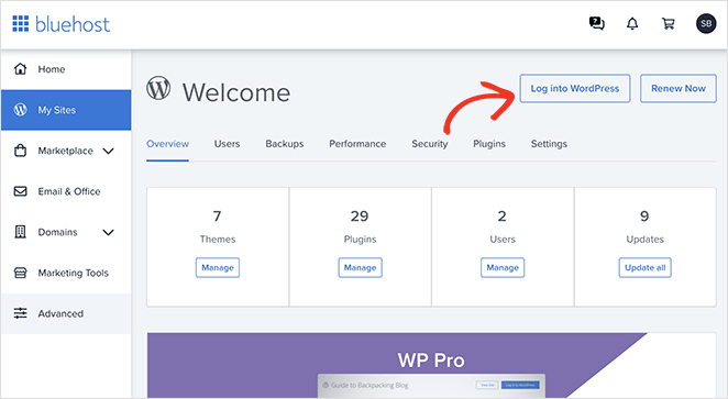 Bluehost hosting dashboard log into WordPress 