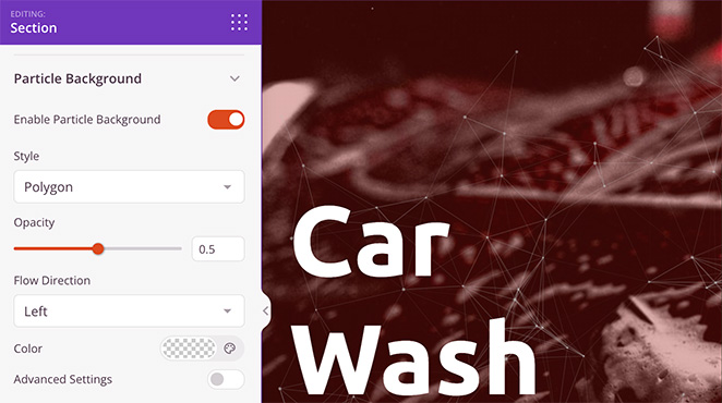 particle-background-settings - SeedProd Polygon Particle.js background animation