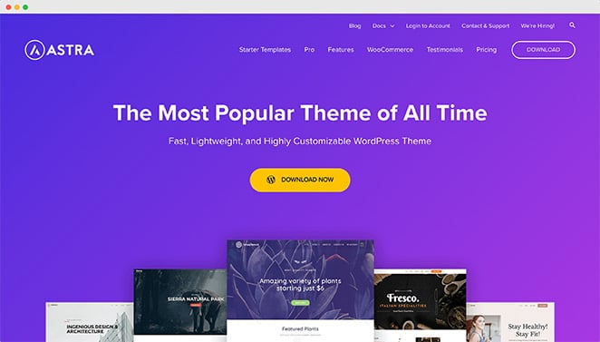 Astra popular WordPress theme