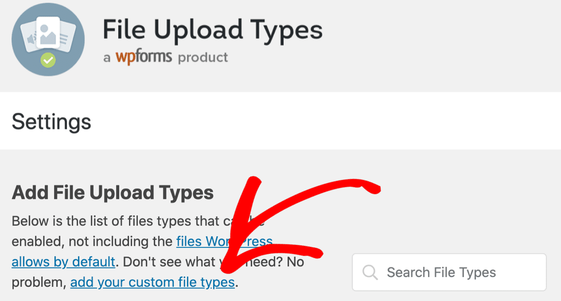 Upload custom file types