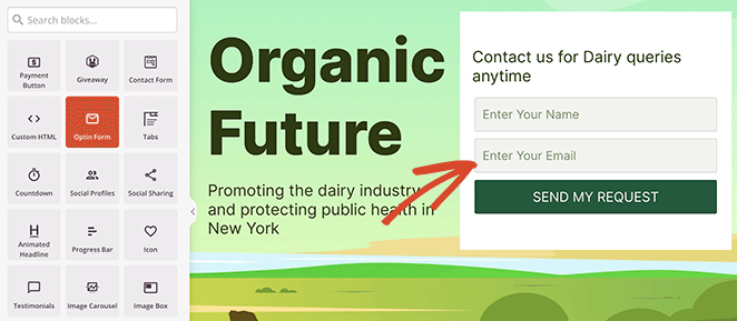 Add an opt-in form to your landing page