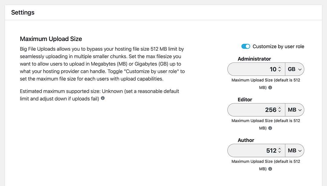 Customize file upload size by user role