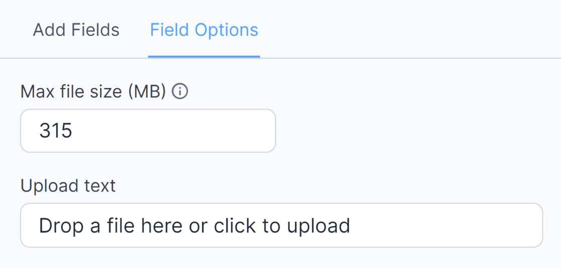 Formidable Forms file upload size