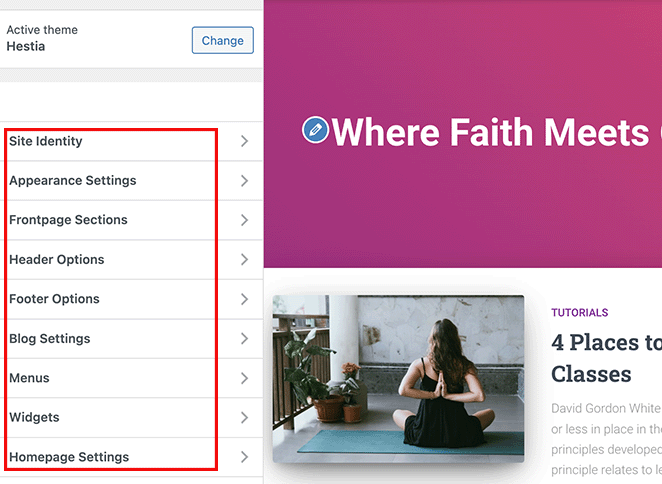 WordPress-customizer - SeedProd WordPress customizer options