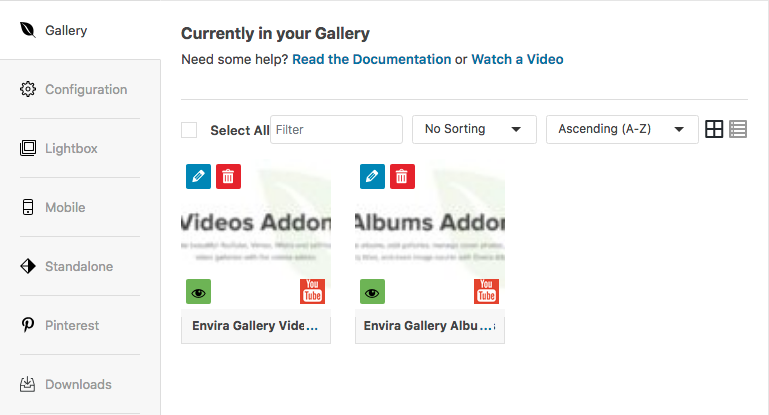 Envira Gallery video gallery options