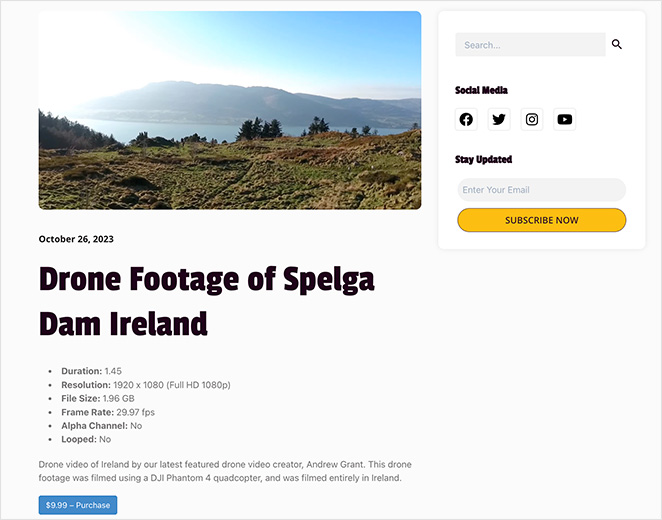 Final video product page in WordPress