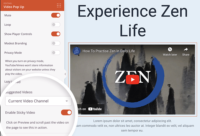 WordPress Sticky video setting in SeedProd