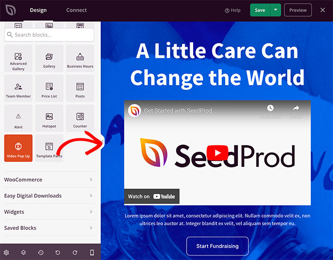 SeedProd video popup block