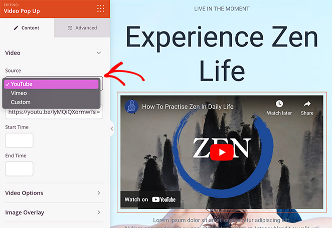 video-popup-media-sources - SeedProd Video popup block media sources