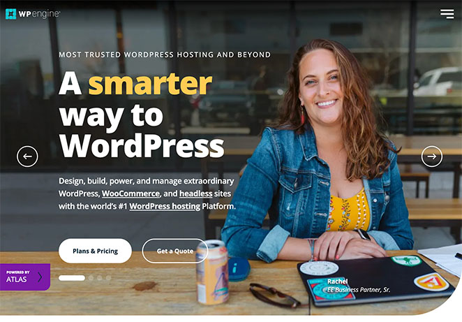 wpengine - SeedProd WP Engine web hosting