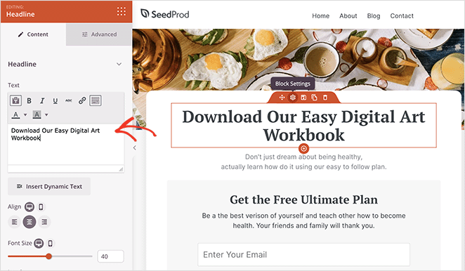 Customize page headings with SeedProd