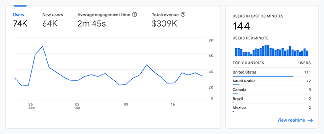 Google Analytics overview report