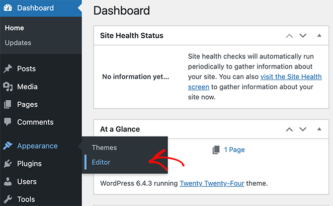 WordPress dashboard showing Appearance Editor option